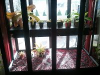 2013-03-03 08.25.16.jpg