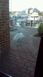 photobucket-14256-1370209455774.jpg