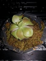 20131113_163103.jpg