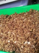 20131122_210306_resized.jpg 20131122_210306_resized.jpg