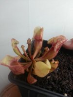 2014-04-13 23.30.32.jpg