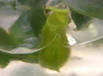 20140628113128.jpg