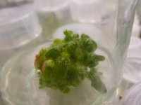 20140628113204.jpg