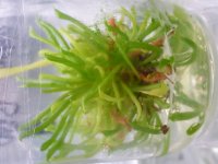 20140628113210.jpg