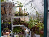 cp-may2012-greenhouse002.jpg