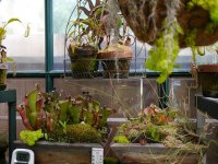 cp-may2012-greenhouse004.jpg