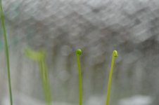 9.3.14 025.jpg 9.3.14 025.jpg