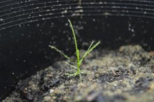 9.3.14 032.jpg 9.3.14 032.jpg