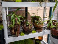 cp-may2012-greenhouse005.jpg