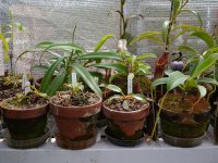 cp-may2012-greenhouse006.jpg