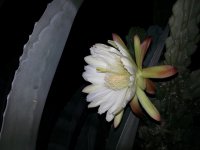 20141016_200843.jpg