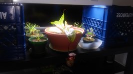 20141113_142522.jpg