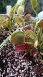 20140917_071609.jpg 20140917_071609.jpg
