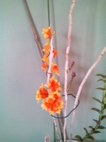 IMG_20150107_093846.jpg