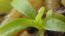 20150204_134523.jpg