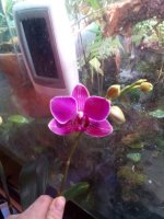 IMG_20150221_162001.jpg