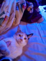 IMG_20150224_134134.jpg