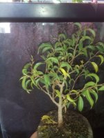 IMG_20150228_084857.jpg