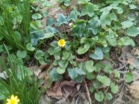IMG_20150419_145941.jpg