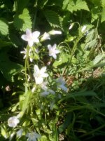 IMG_20150503_155910.jpg