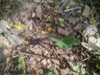 IMG_20150503_161554.jpg