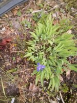IMG_20150506_101926.jpg