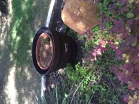 IMG_4611.jpg IMG_4611.jpg