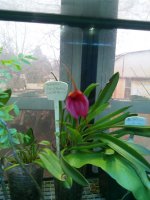 IMG_20151202_092503.jpg