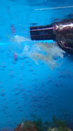 IMG_20160108_154350.jpg