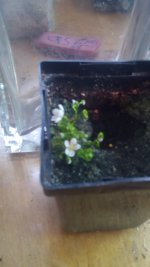 IMG_20160202_095156.jpg