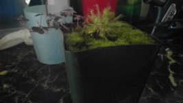 WIN_20170131_13_57_20_Pro.jpg