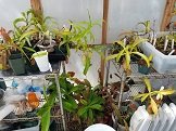 20170411_134847.jpg