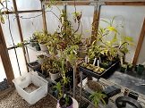20170411_134841.jpg