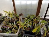 20170411_134819.jpg
