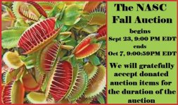 Auction Sept 14.jpg