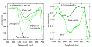 Fig9.png Fig9.png