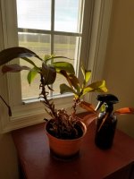 20171228_080356.jpg