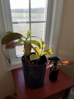 20171228_080335.jpg