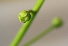 20171230 CampF close up.jpg