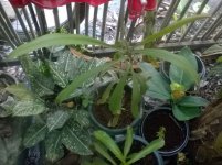 WP_20180121_17_14_36_Pro.jpg WP_20180121_17_14_36_Pro.jpg