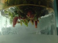IMG_1363.jpg