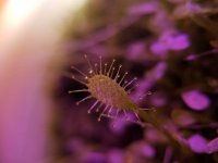 20180202_205942.jpg