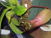 20180202_210038.jpg