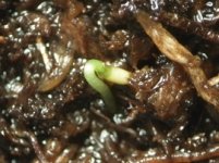 20180302_224618.jpg