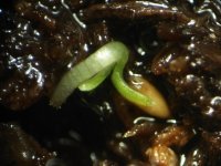 20180306_003017.jpg