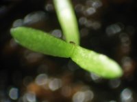 20180315_224826.jpg 20180315_224826.jpg