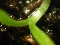20180323_203136.jpg
