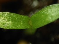 20180323_203136 (3).jpg