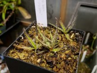 20180324_192837.jpg 20180324_192837.jpg