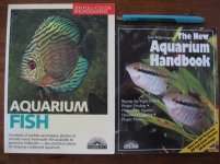Fish.jpg